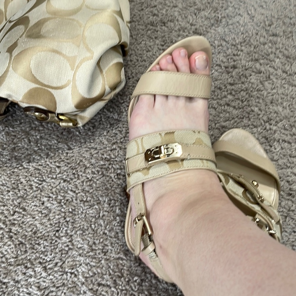 Coach shoes